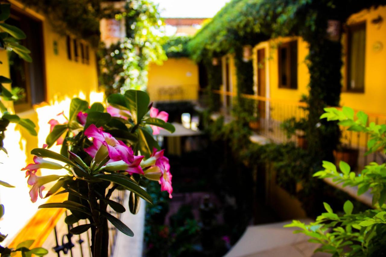 Hotel Dainzu Oaxaca Exteriör bild